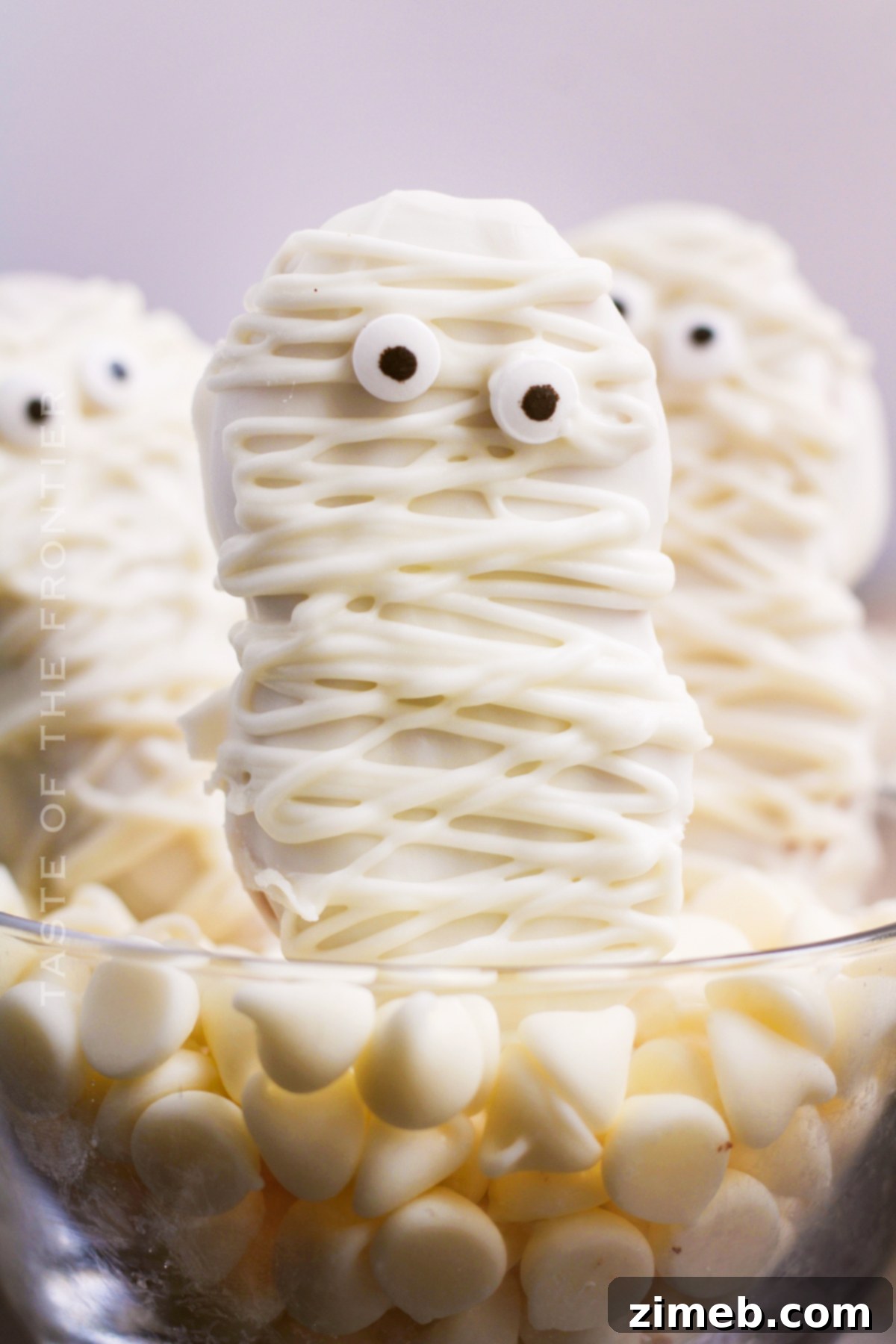 Spooky Swaddled Sweets 22 Halloween Holiday Cookies - Fun for the whole family