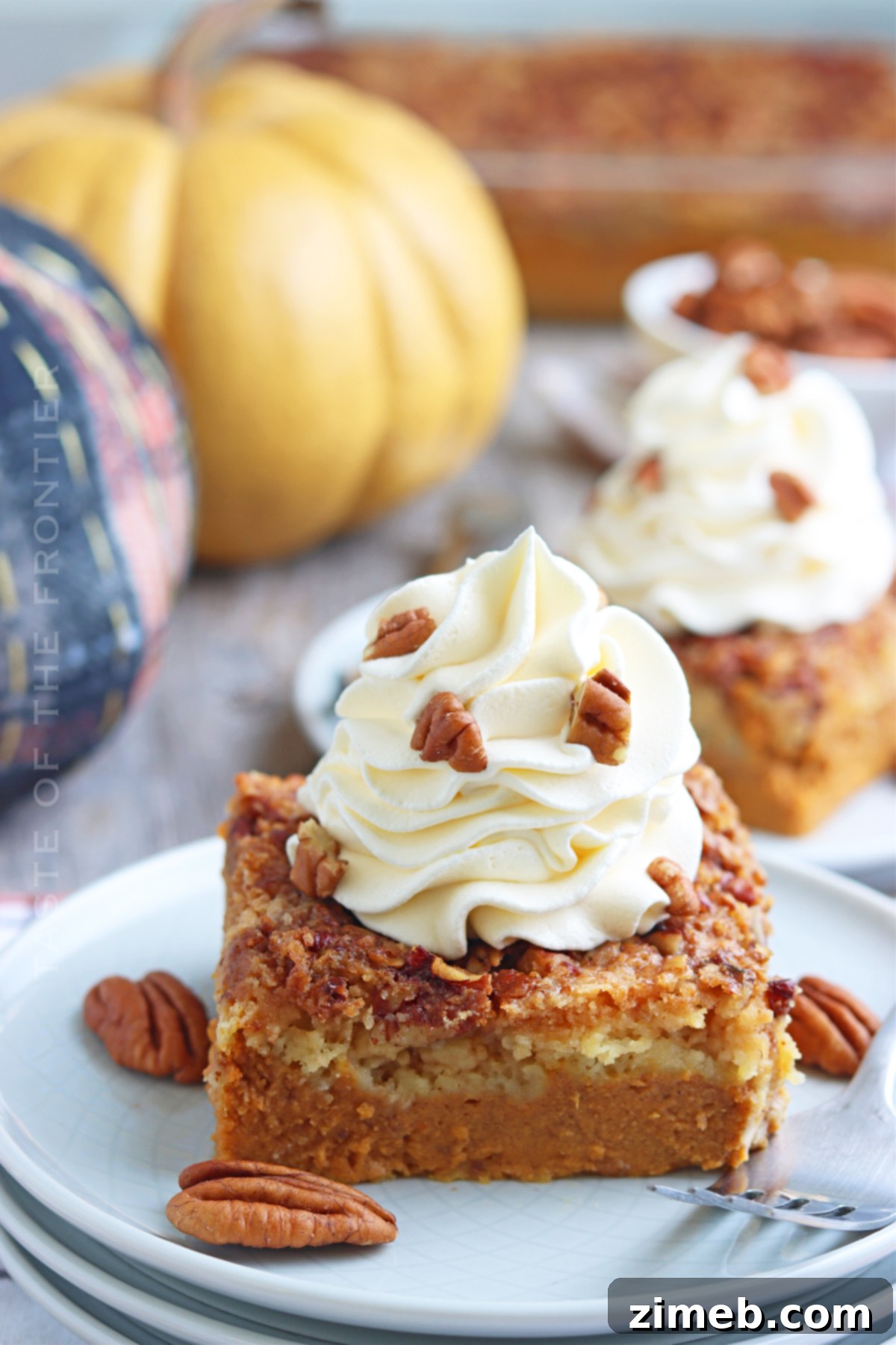 Pumpkin Dump Cake Recipe served with whipped cream