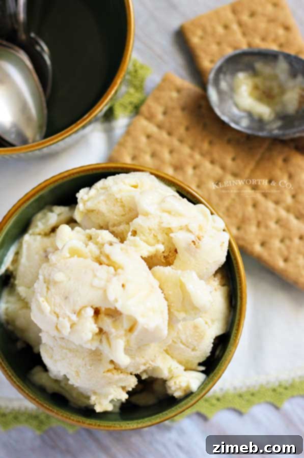 Velvet Banana Pie Freeze 4 Simple Banana Cream Pie Frozen Yogurt recipe step-by-step