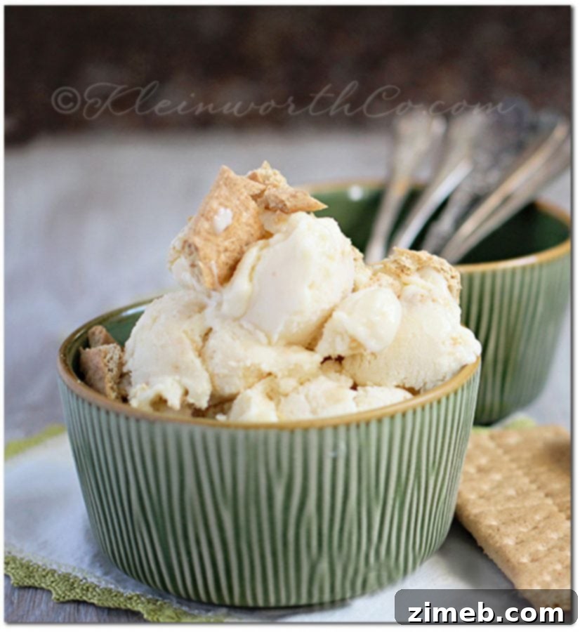 Velvet Banana Pie Freeze 5 Serving homemade Banana Cream Pie Frozen Yogurt in reusable containers