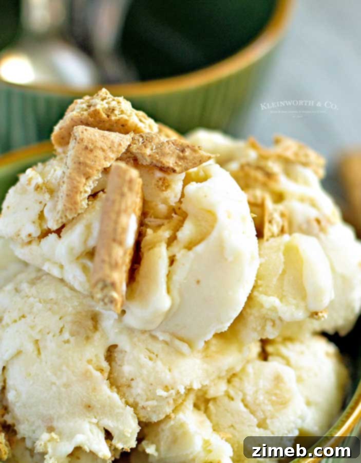 Velvet Banana Pie Freeze 6 Detailed view of homemade Banana Cream Pie Frozen Yogurt