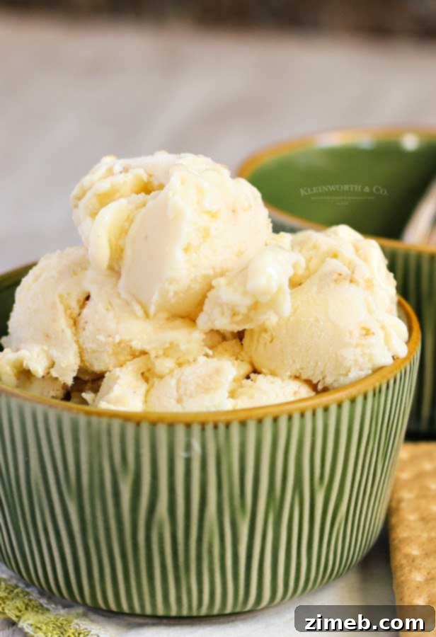 Velvet Banana Pie Freeze 9 Close-up of Banana Cream Pie Frozen Yogurt with graham cracker topping