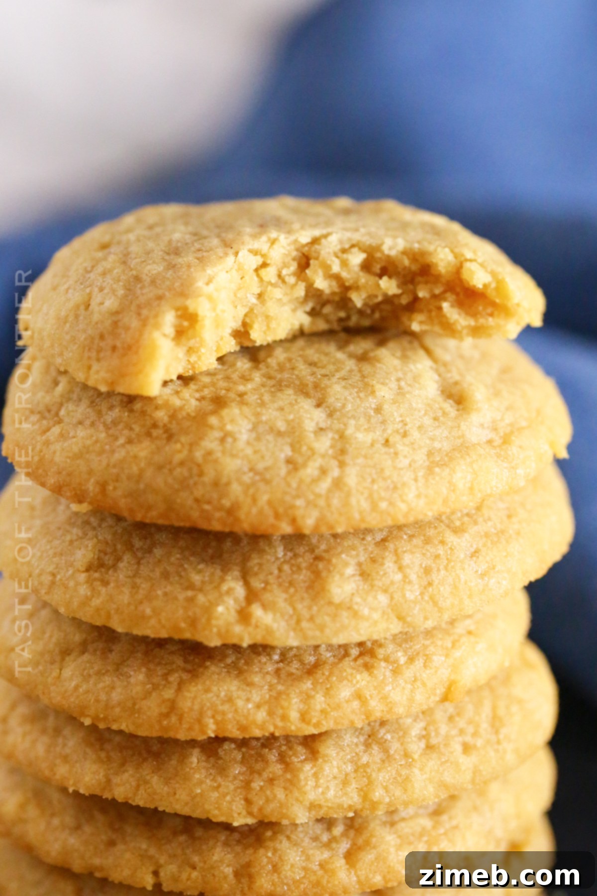 Delicious Keto Sugar Cookies 20 3-Ingredient Sugar Cookies - Keto style, arranged on a baking sheet