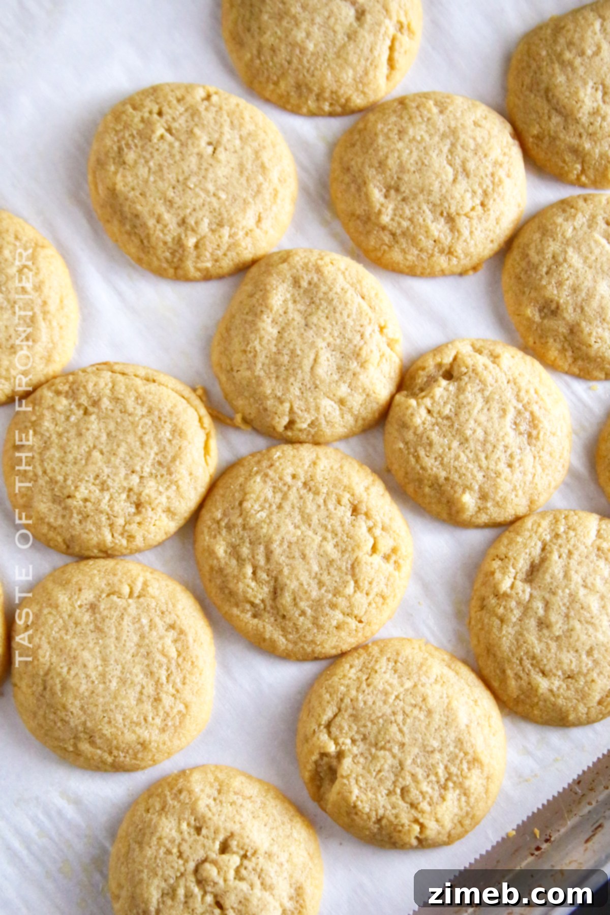 Delicious Keto Sugar Cookies 9 Baked 3-Ingredient Keto Cookies, perfectly golden