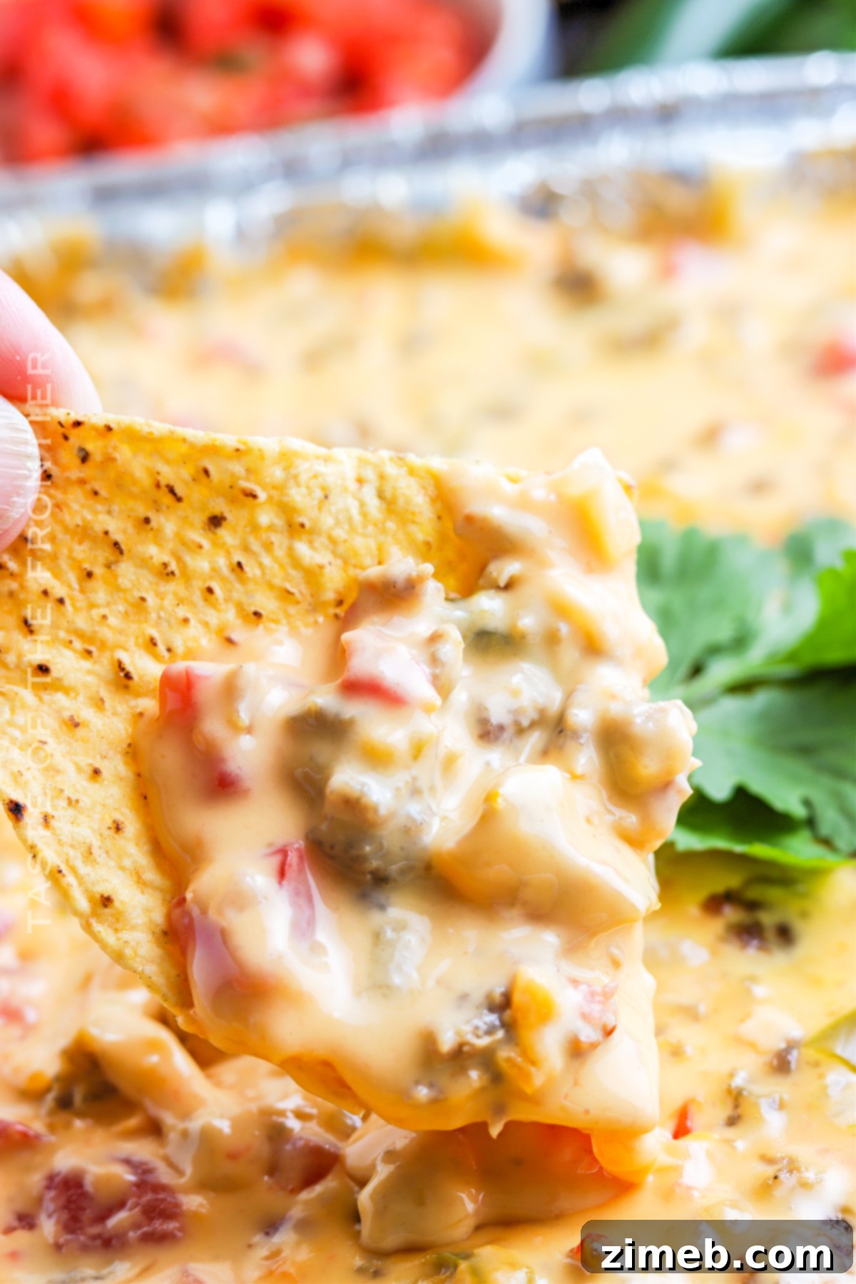 Ultimate Smoked Queso 22 Smoked Cheese Dip