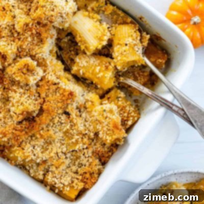 A Harvest of 50+ Pumpkin Recipes 14 Pumpkin Pasta Bake