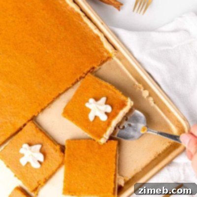 A Harvest of 50+ Pumpkin Recipes 22 Pumpkin Slab Pie