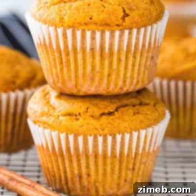 A Harvest of 50+ Pumpkin Recipes 24 Pumpkin Muffins