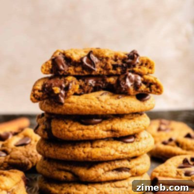 A Harvest of 50+ Pumpkin Recipes 28 Chewy Pumpkin Chocolate Chip Cookies