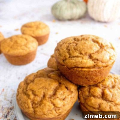 A Harvest of 50+ Pumpkin Recipes 30 Banana Pumpkin Muffins