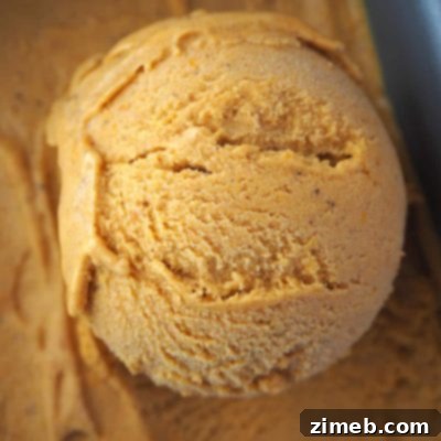 A Harvest of 50+ Pumpkin Recipes 36 Pumpkin Spice Ice Cream