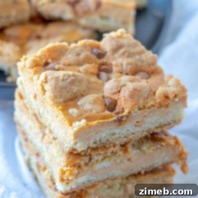 A Harvest of 50+ Pumpkin Recipes 38 Pumpkin Cheesecake Sugar Cookie Bars