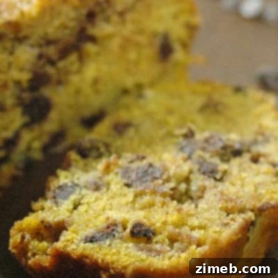A Harvest of 50+ Pumpkin Recipes 40 Pumpkin Chocolate Chip Bread