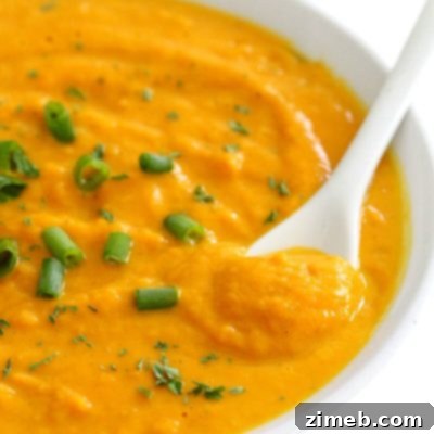 A Harvest of 50+ Pumpkin Recipes 5 Vegan Curried Pumpkin Soup
