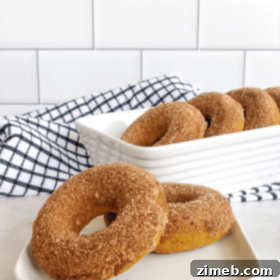 A Harvest of 50+ Pumpkin Recipes 50 Baked Vegan Pumpkin Donuts