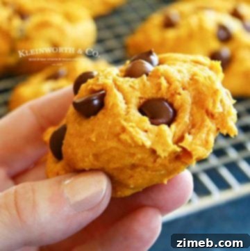 fall dessert - 3-Ingredient Pumpkin Cookies