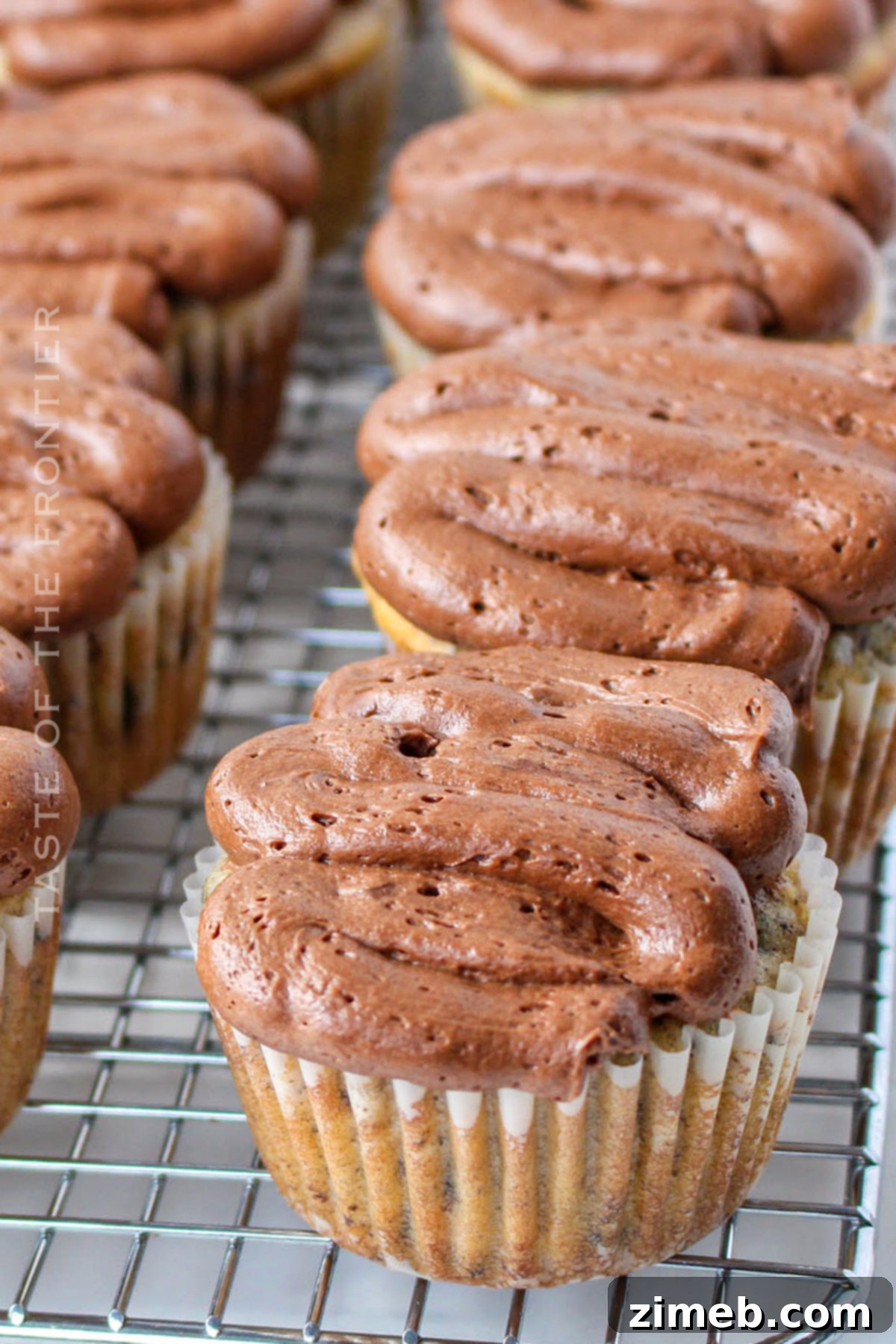 Oreo cupcakes with rich chocolate frosting, ready for fun owl decorations.