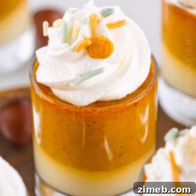 Amazing Pumpkin Pudding Shots Recipe for fall.