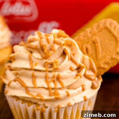 Lotus Biscoff Dream Cupcakes 23 Cookie Butter Cupcakes with creamy frosting and cookie crumbs