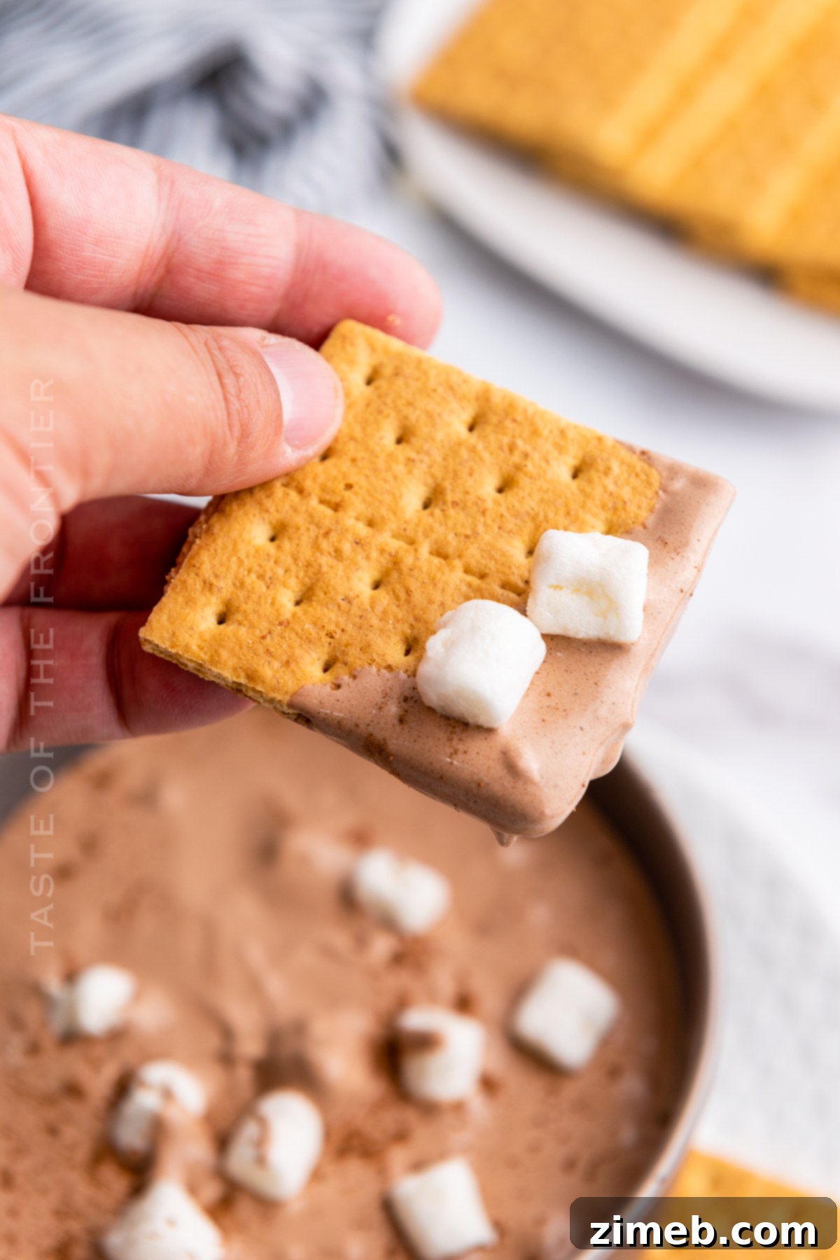 marshmallow chocolate dip