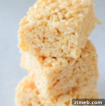 The Forest Eye 15 marshmallow cereal treats