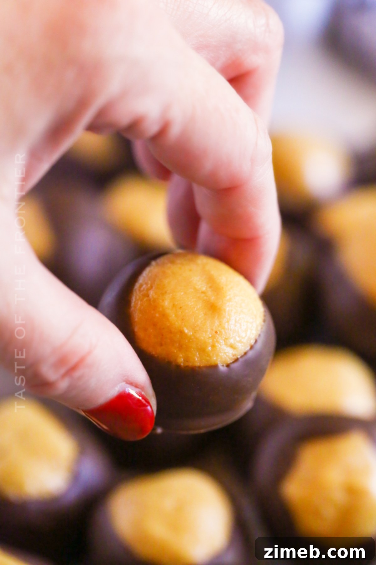 The Forest Eye 17 holiday Buckeye dessert