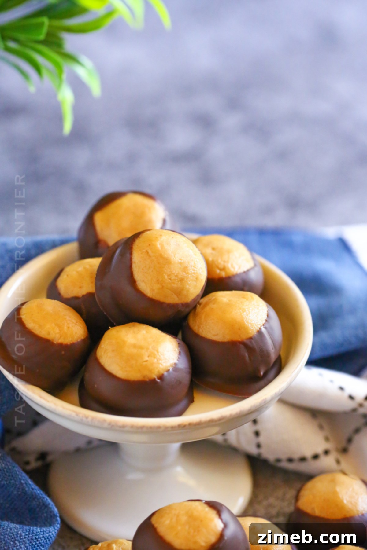The Forest Eye 3 no bake peanut butter balls with chocolate