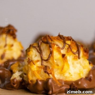 Chocolate Coconut Macaroons Recipe