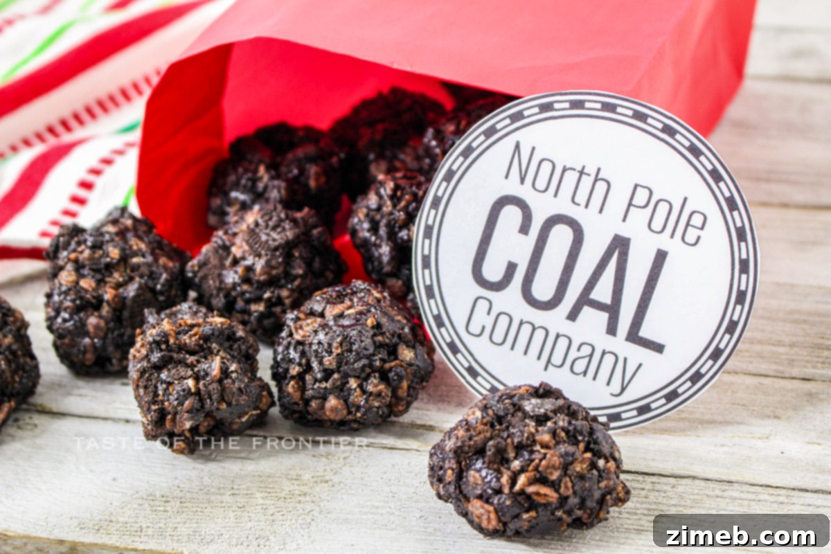 Santa's Coal Delivery 10 More No-Bake Holiday Treats for Kids and Adults