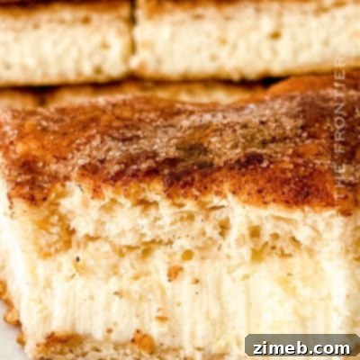 Churro Cheesecake Bars