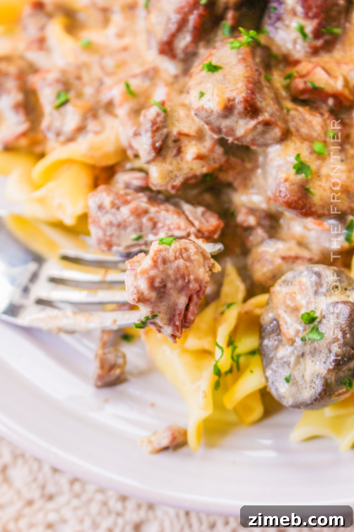 Cozy Comfort Slow Cooker Beef Stroganoff 19 Delicious Crock Pot Beef Stroganoff with creamy sauce and mushrooms.
