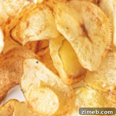 Air Fryer Potato Chips