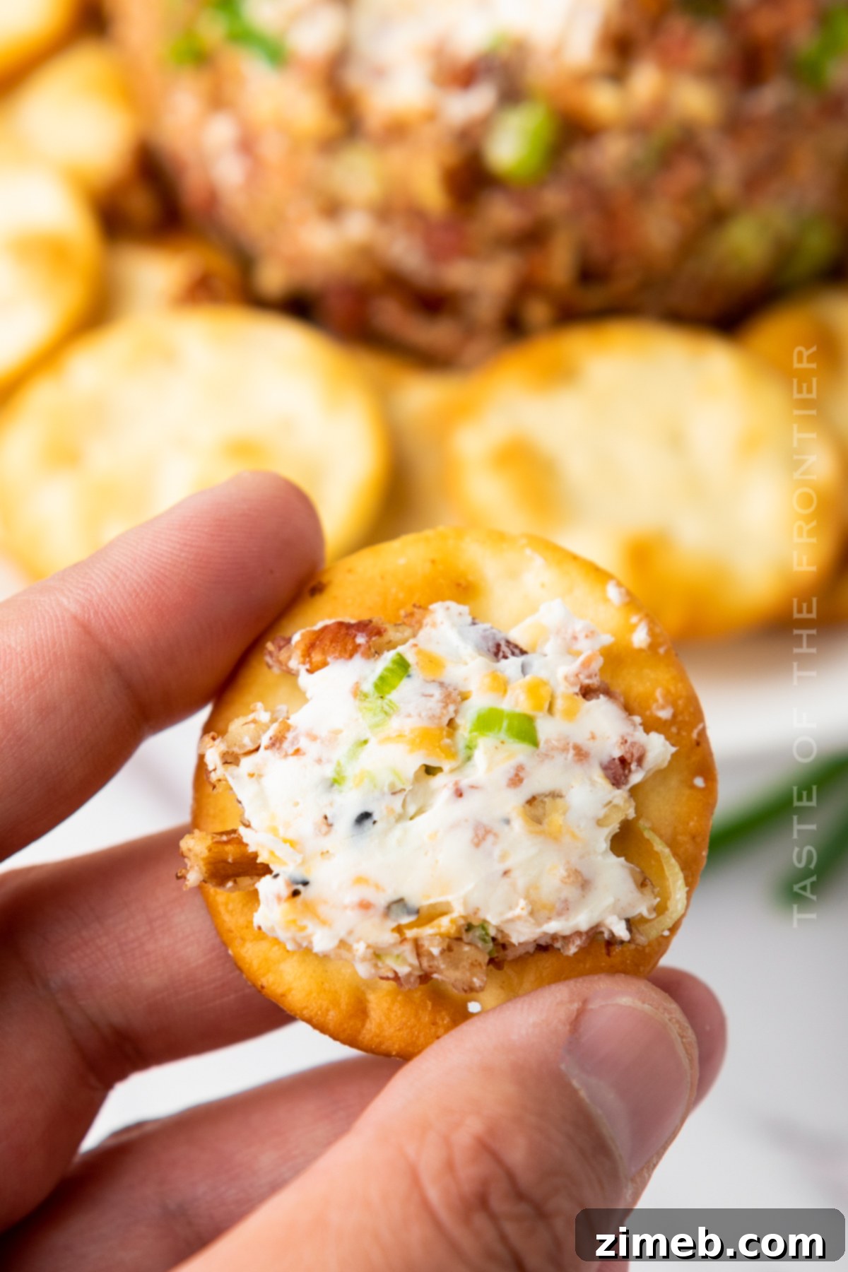 Holiday appetizer cheese ball
