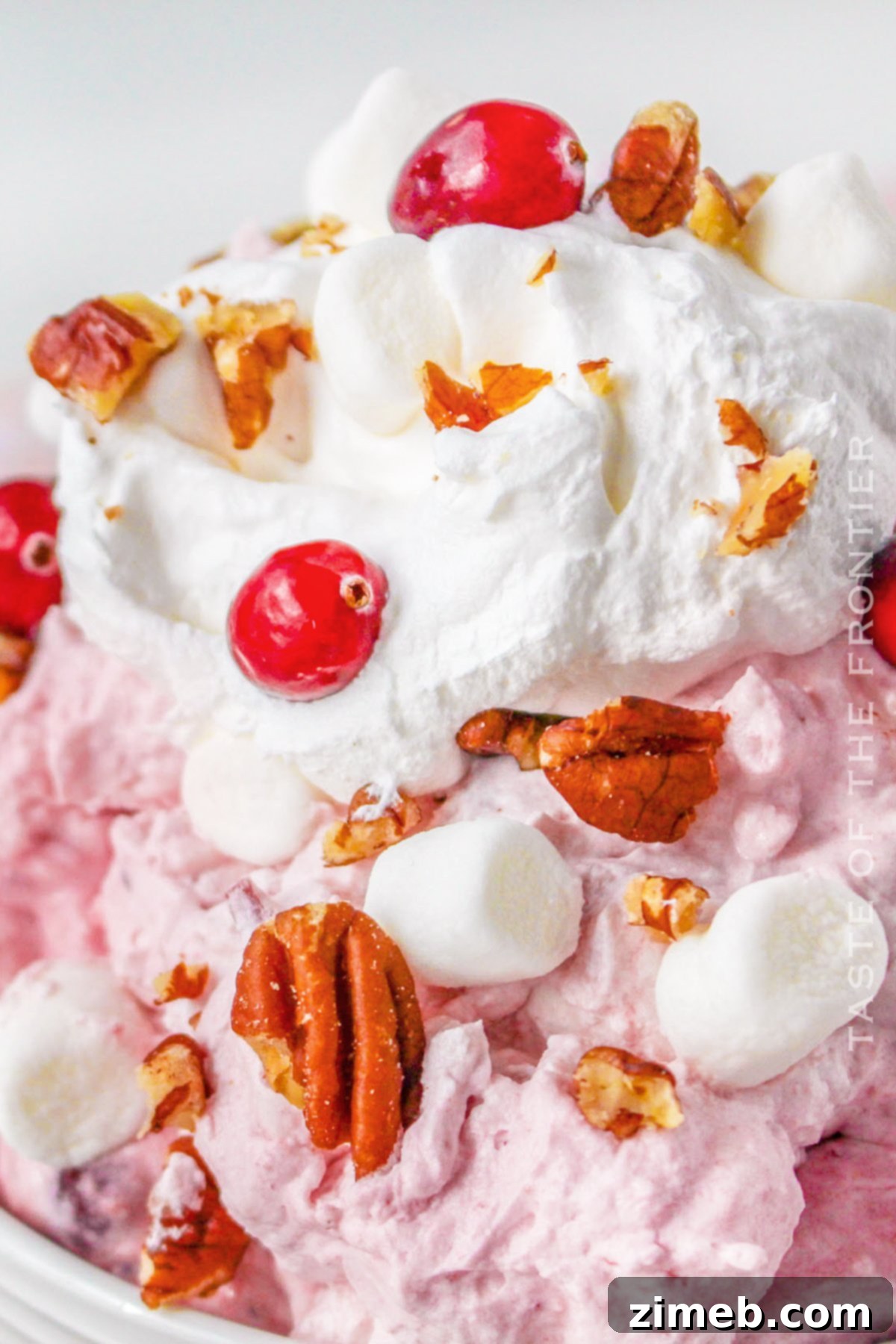 Bright and Flavorful Cranberry Salad 2 Easy no-bake cranberry salad featuring cream cheese, cranberries, oranges, and marshmallows, perfect for holidays.