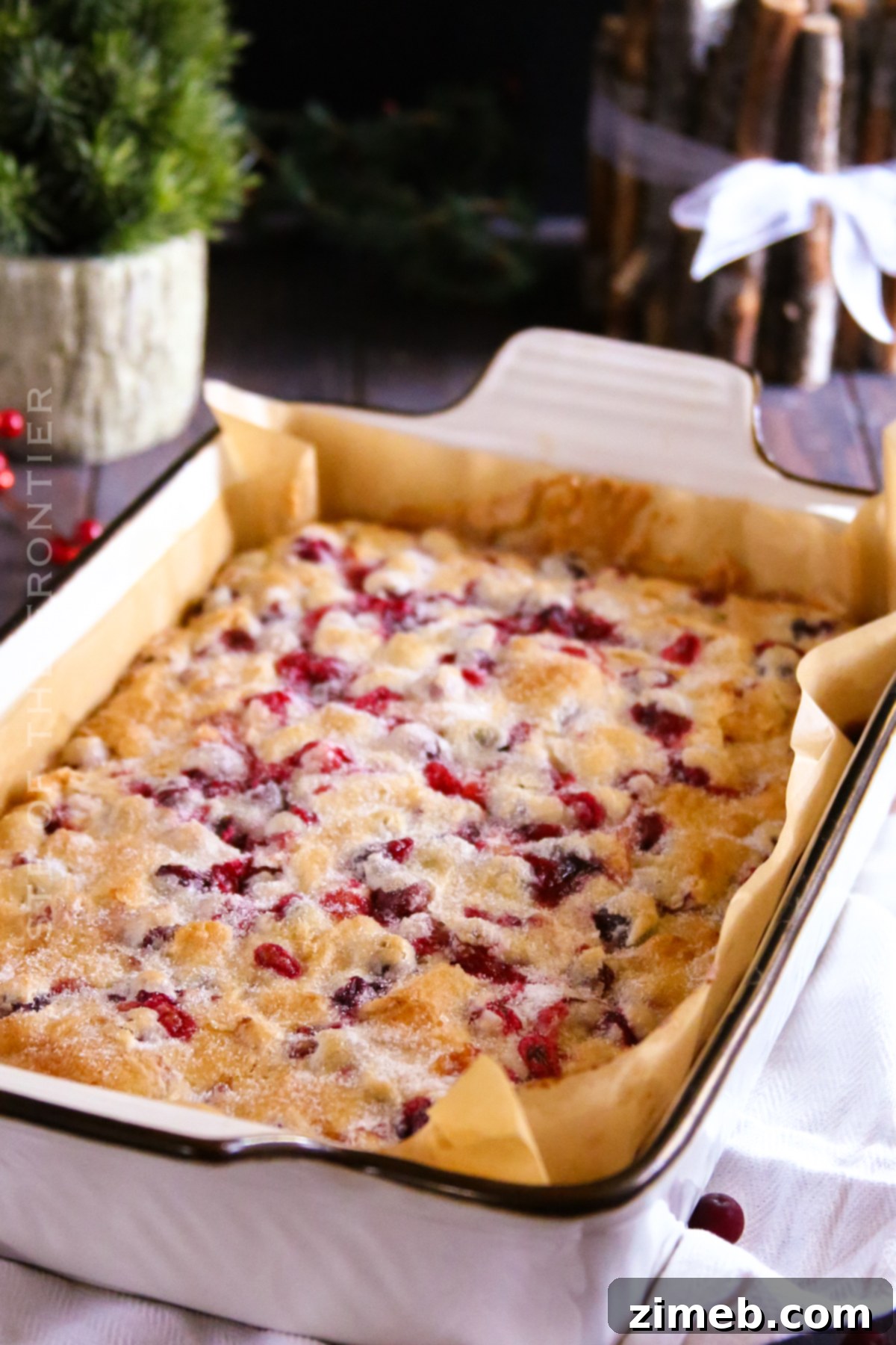 A full view of the delicious Cranberry Cake, ready for serving.