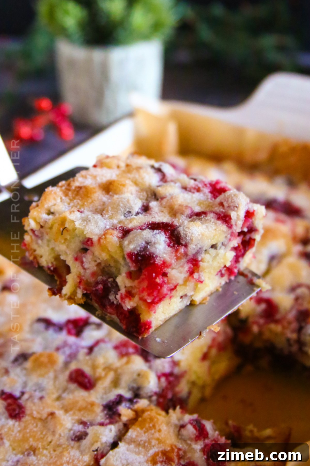 Close-up of a Cranberry Cake slice revealing its moist texture and vibrant fruit.
