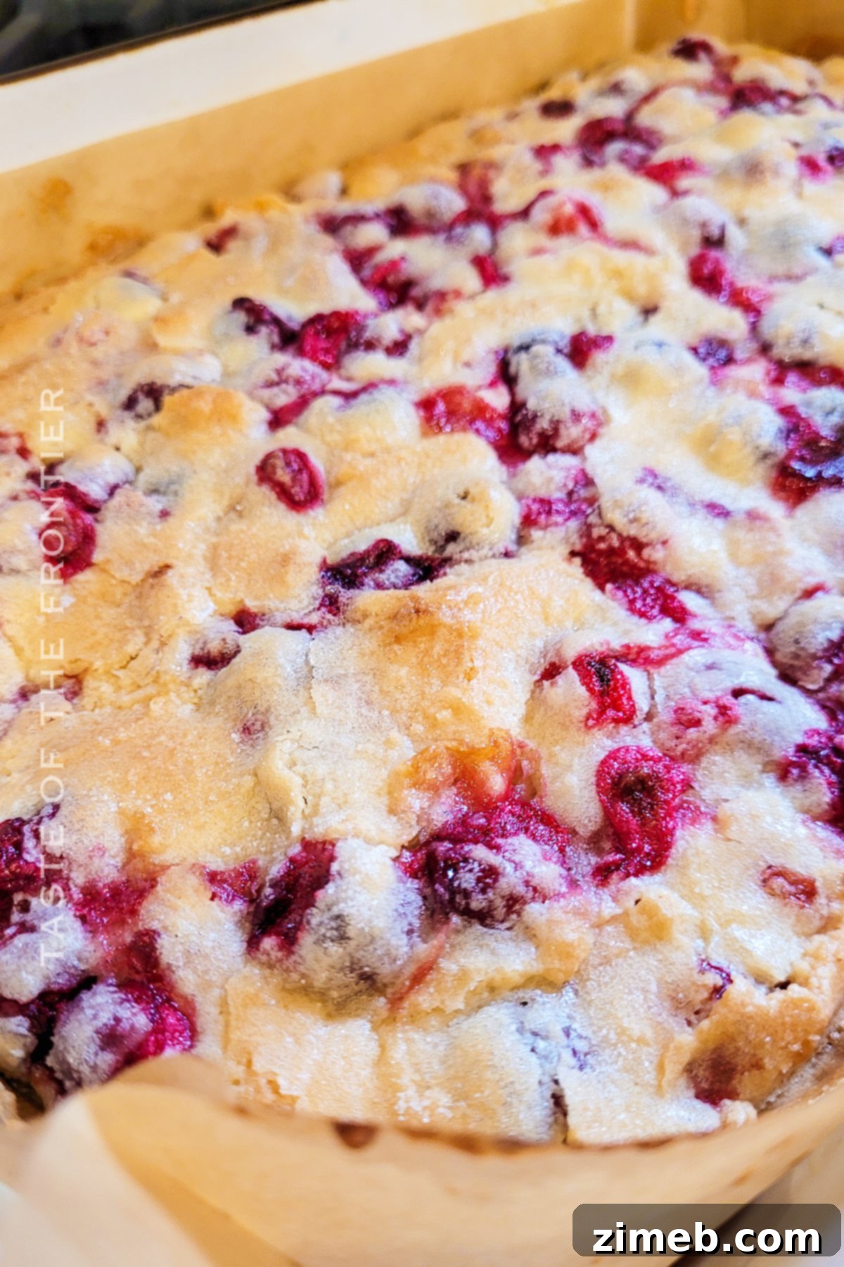 A freshly baked Cranberry Cake, adorned with fresh cranberries, ready to be sliced.