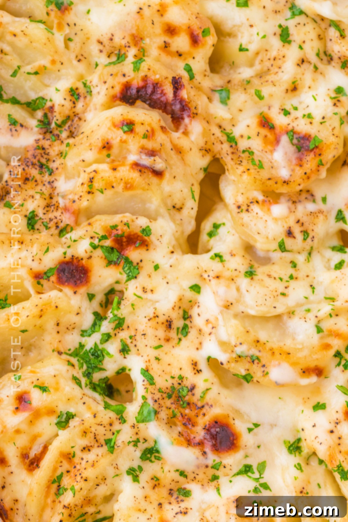 Creamy Cheesy Potato Layers 20 Delicious cheesy potato side dish, ready to be served.