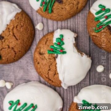 White Chocolate Dipped Ginger Cookies
