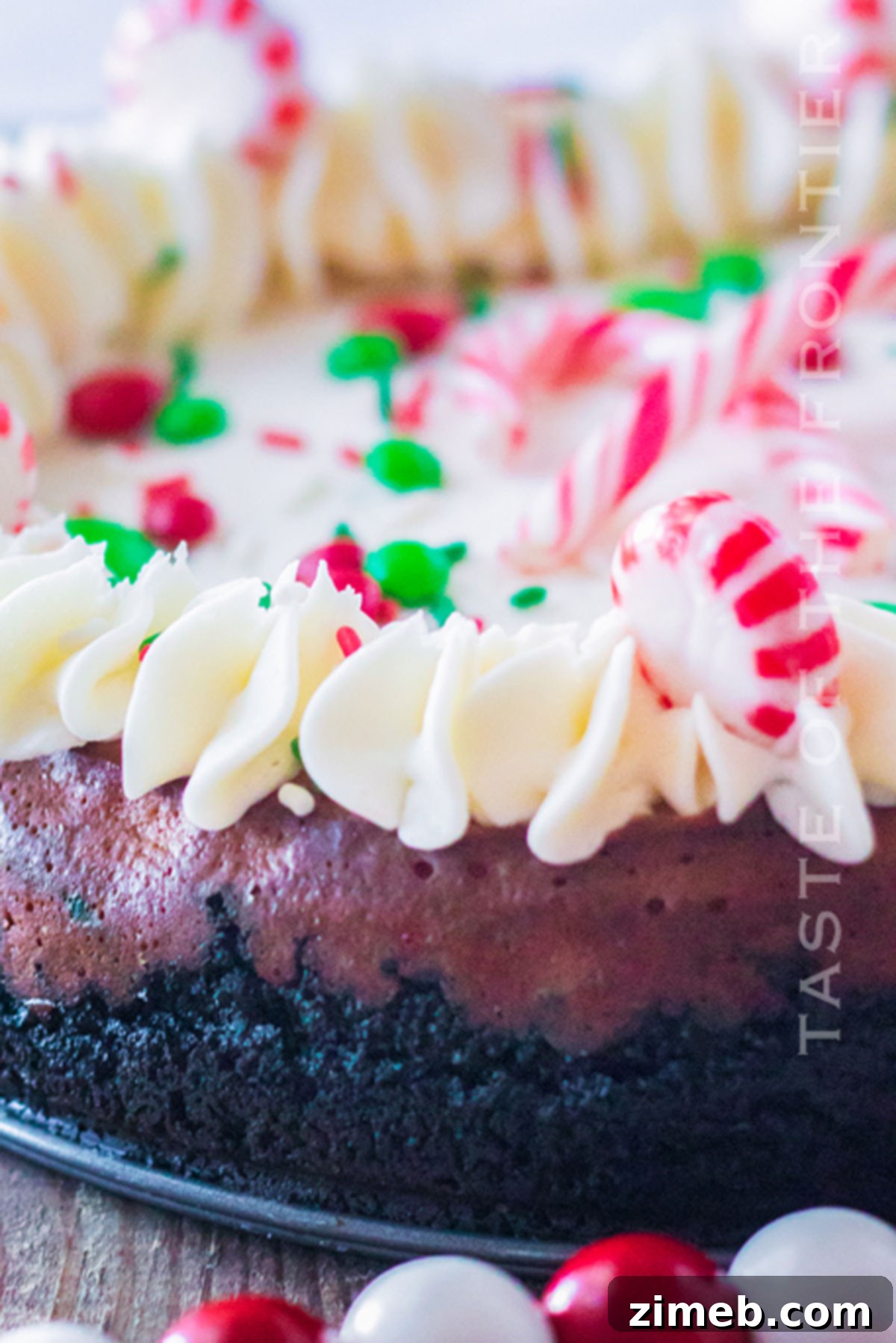 cookie crust for cheesecake