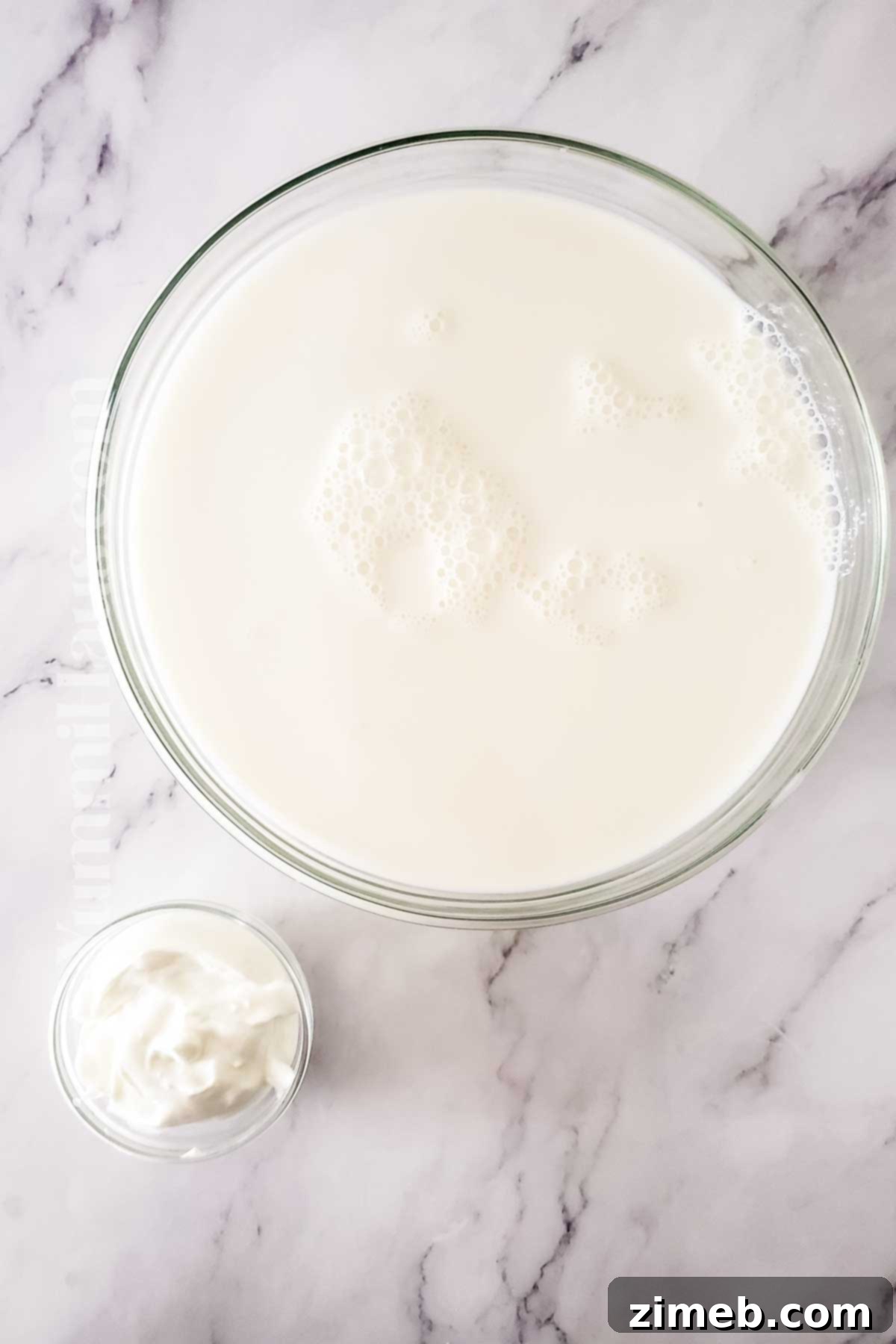 Slow Cooker Yogurt ingredients for a simple recipe