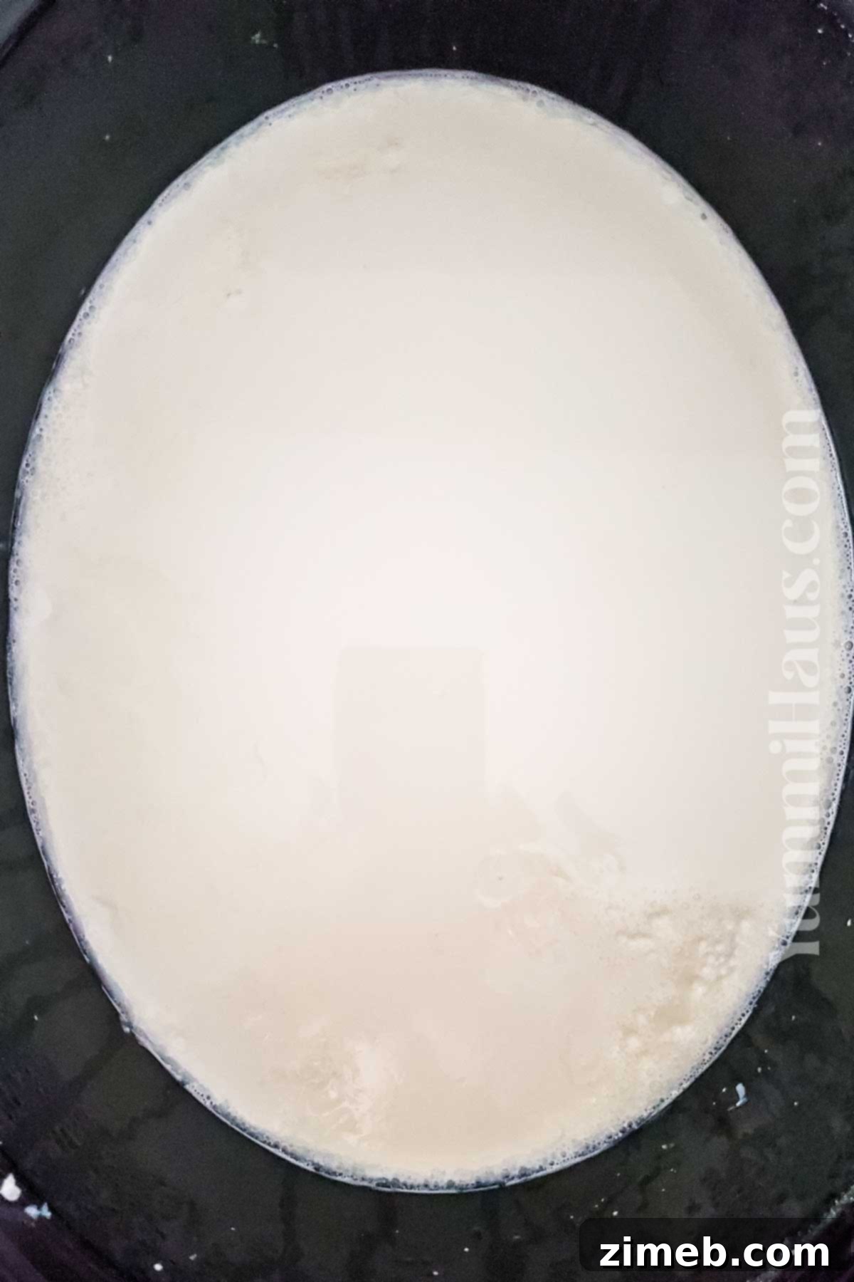 Crockpot Yogurt, an easy and healthy snack