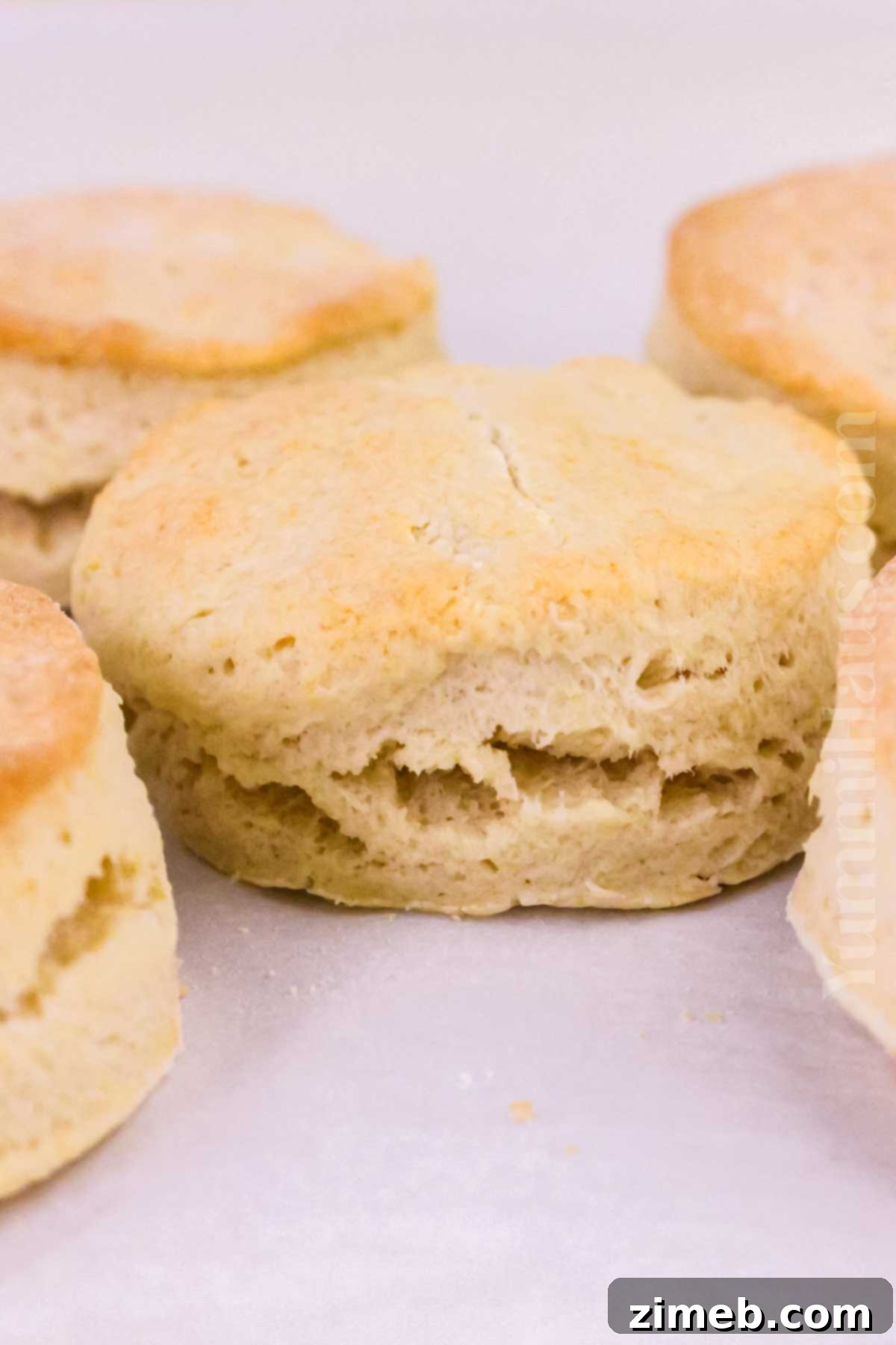 Minimalist Biscuits 15 A stack of freshly baked two-ingredient biscuits, showcasing their golden crust and soft interior.