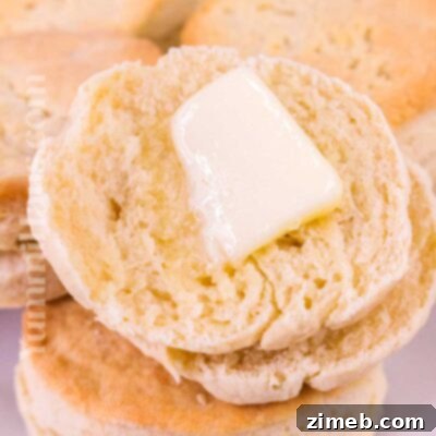 Fluffy 2-Ingredient Biscuits
