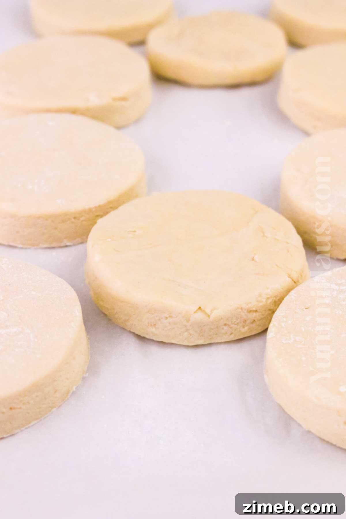Minimalist Biscuits 8 Unbaked 2-ingredient biscuit dough arranged on a parchment-lined baking sheet, ready for the oven.