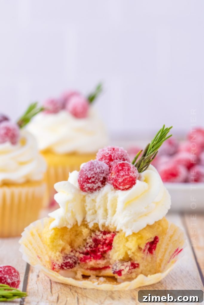 15 Joyful Christmas Cupcake Creations 9 Sparkly Cranberry Cupcakes with White Chocolate Buttercream Frosting