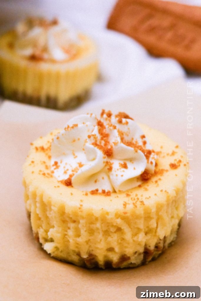 Sweeten Your Holiday: 40 Simple Thanksgiving Desserts 22 Biscoff Cheesecake