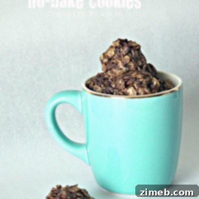 Java No-Bake Delights 3 Homemade Coffee No-Bake Cookies Ready to Be Enjoyed
