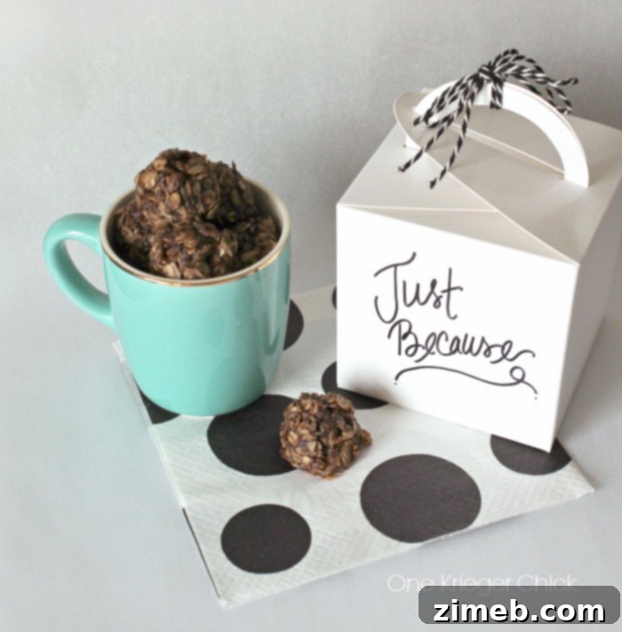 Java No-Bake Delights 4 Sharing Easy Coffee Infused No-Bake Cookies with Friends