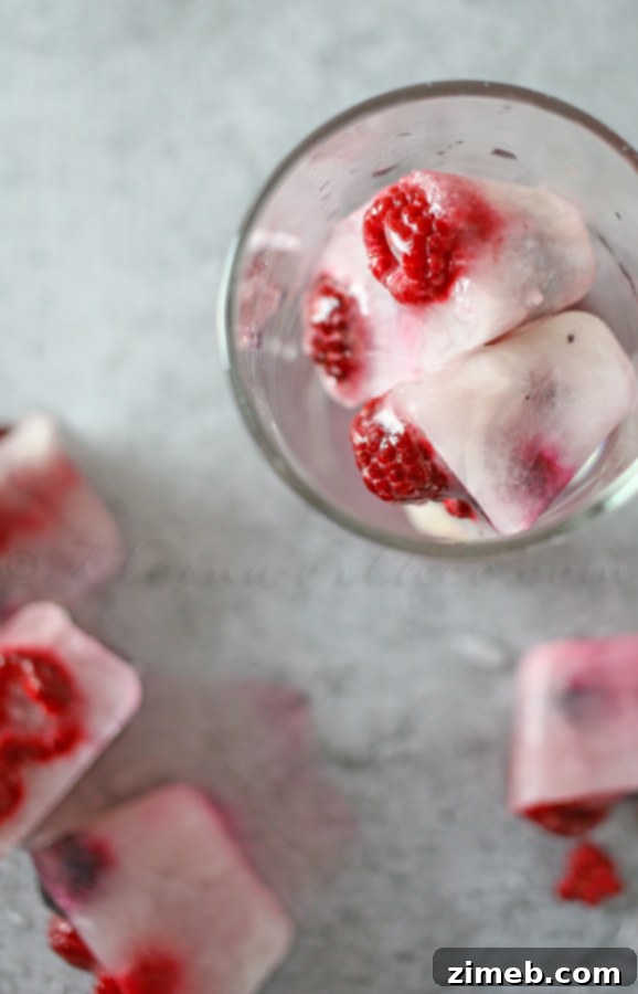 Tangy Berry Bites 4 Sour Berry Cubes on www.kleinworthco.com
